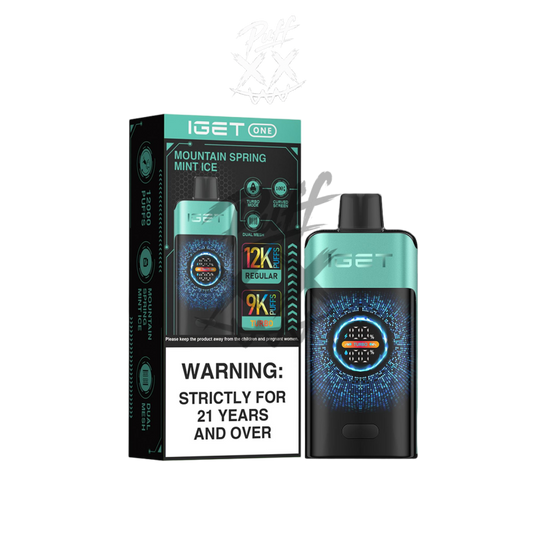 IGET One 12000 Puffs - Mountain Spring Mint Ice